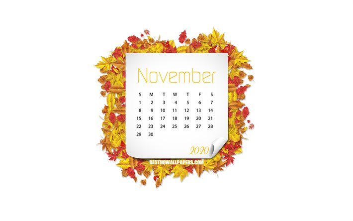 Calendrier de novembre 2020, fond blanc, feuilles d&#39;automne, novembre, cadre de feuilles jaunes, calendrier de novembre 2020
