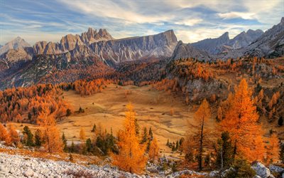 paisagem de montanha, outono, amarelo &#225;rvores, montanha, floresta, paisagem de outono, Cinque Torri, Dolomitas