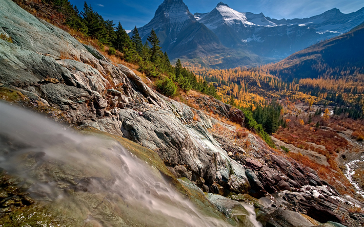 bergslandskapet, dalen, h&#246;st, gula skogen, gula tr&#228;d, h&#246;sten landskap, Glacier National Park, USA