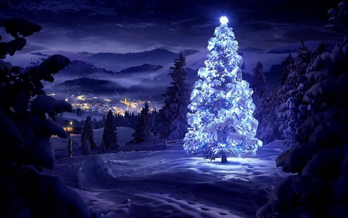 V&#233;spera De Ano Novo, inverno, noite, Floresta, &#193;rvore De Natal, Natal