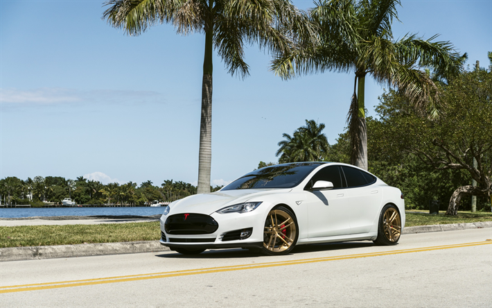 Tesla Model S, 2017, branco sedan desportivo, carro el&#233;trico, Os carros americanos, Modelo de otimiza&#231;&#227;o de S, Nicho De Rodas, Tesla