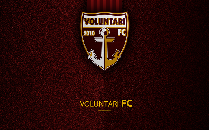 Voluntari FC, logo, leather texture, 4k, Romanian football club, Liga I, First League, Voluntari, Romania, football