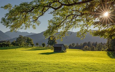 Miesbach, 4k, meadow, mountains, summer, beautiful nature, Bavaria, Germany, Europe