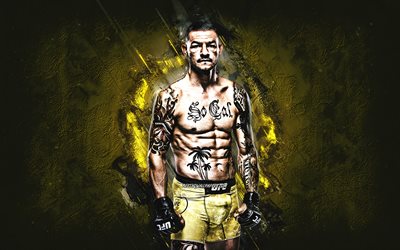 Cub Swanson, UFC, American fighter, MMA, yellow stone background, Kevin Luke Swanson, Ultimate Fighting Championship