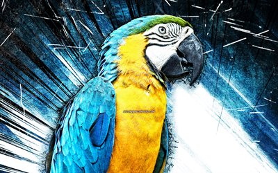 4k, blauer und gelber ara, grunge-kunst, blauer papagei, ara ararauna, papageien, blaue abstrakte strahlen, blauer und goldener ara, ara