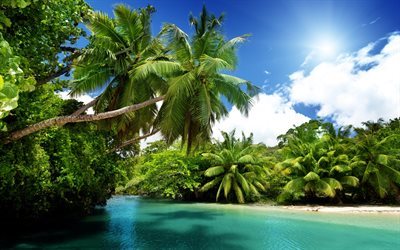 trooppinen saari, ranta, palmuja, ocean, eksoottisia, kes&#228;loma
