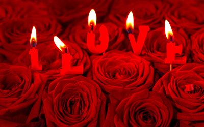 Valentines Day, red roses, burning candles, February 14, romance concepts, love