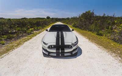 Ford Mustang, offroad, 2018 auto, muscle cars, supercar, Ford