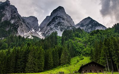 4k, Gosau, dağlar, Avusturya, Alpler, yaz, Avrupa