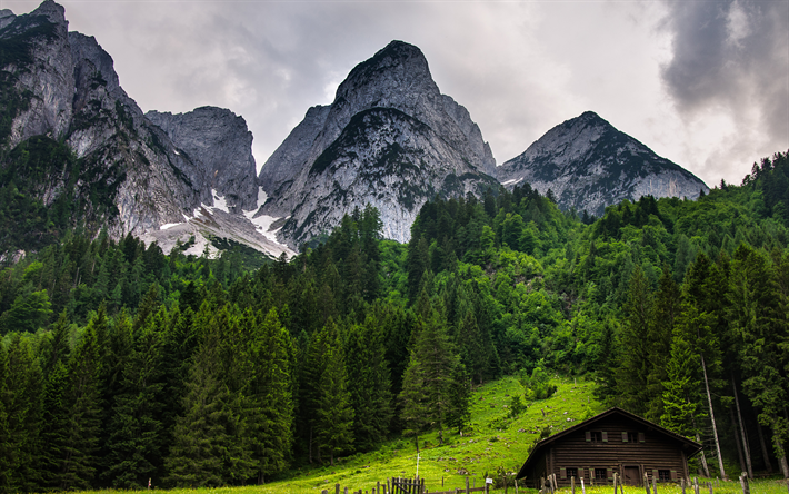 4k, Gosau, 山々, オーストリアのアルプス, 夏, 欧州