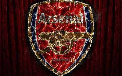 Arsenal FC, scorched logo, Premier League, red wooden background, english football club, grunge, The Gunners, football, soccer, Arsenal logo, fire texture, England