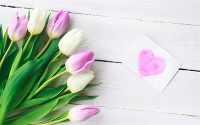 tulipanes de color rosa, flores de la primavera, los tulipanes blancos, tarjeta de felicitaci&#243;n, flores hermosas, 8 de Marzo de tulipanes