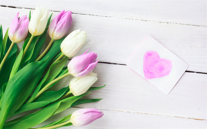 tulipes roses, fleurs de printemps, de blanc, de tulipes, de f&#233;licitation, de belles fleurs, le 8 Mars, les tulipes