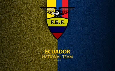 Equador equipa nacional de futebol, 4k, textura de couro, emblema, logo, futebol, Equador