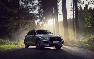 Audi Q5, road, 2018 cars, crossovers, new Q5, forest, Audi