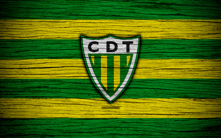 Tondela, 4k, Portugal, Primeira Liga, soccer, wooden texture, Tondela FC, football club, logo, FC Tondela
