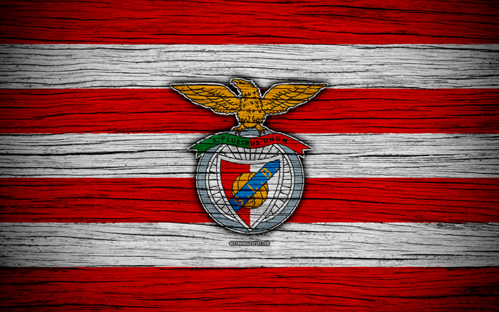 Benfica, 4k, Portugal, Den F&#246;rsta Ligan, fotboll, tr&#228;-struktur, Benfica-FC, football club, logotyp, FC Benfica