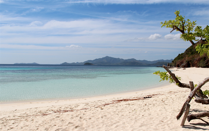 ilha tropical, praia, palm, ver&#227;o, conceitos de viagens, oceano