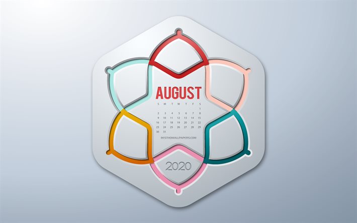 2020 August Calendar, infographics style, August, 2020 summer calendars, gray background, August 2020 Calendar, 2020 concepts