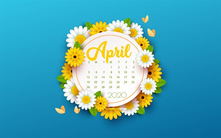2020 Calendario di aprile, sfondo blu con fiori di primavera sfondo blu, 2020 primavera calendari, aprile, fiori di primavera sfondo, aprile 2020 Calendario