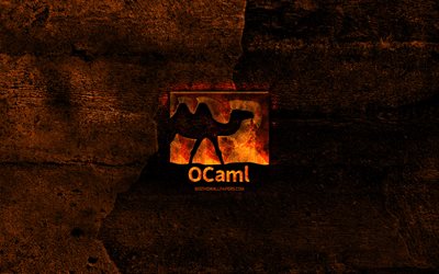 OCaml brinnande logotyp, programmeringsspr&#229;k, orange sten bakgrund, kreativa, OCaml-logotyp, programmeringsspr&#229;k tecken, OCaml