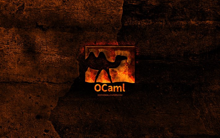 OCaml fiery logo, programming language, orange stone background, creative, OCaml logo, programming language signs, OCaml