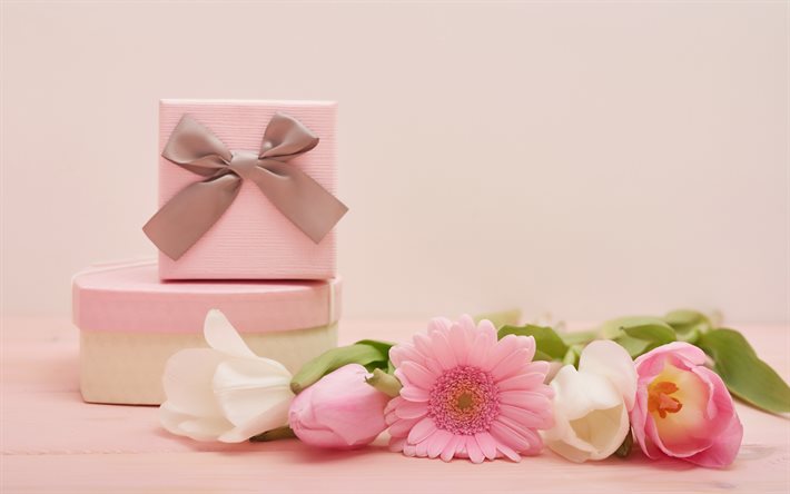 8 maaliskuuta, lahjoja, vaaleanpunainen tulppaanit, kev&#228;&#228;n kukat, tausta 8 Maaliskuuta kortin, tulppaanit