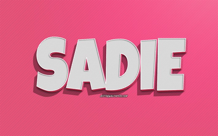 Sadie, sfondo a linee rosa, sfondi con nomi, nome Sadie, nomi femminili, biglietto di auguri Sadie, disegni al tratto, foto con nome Sadie