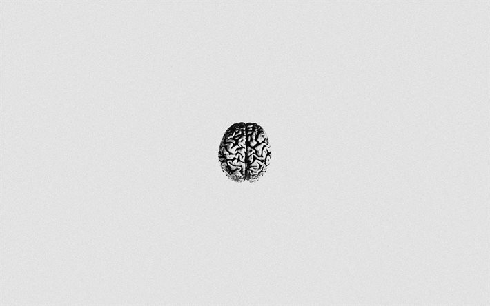 cerveau humain, fond de papier blanc, esprit, texture de papier, concepts d’esprit, intelligence, cerveaux