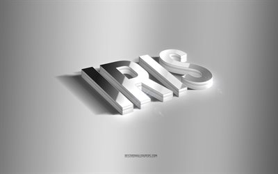 iris, arte 3d plateado, fondo gris, fondos de pantalla con nombres, nombre iris, tarjeta de felicitaci&#243;n iris, arte 3d, imagen con nombre iris