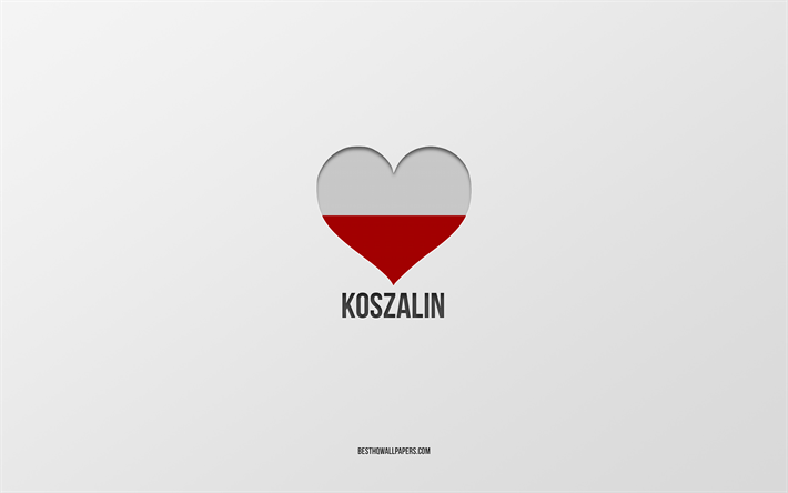 i love koszalin, ciudades polacas, d&#237;a de koszalin, fondo gris, koszalin, polonia, coraz&#243;n de la bandera polaca, ciudades favoritas, love koszalin