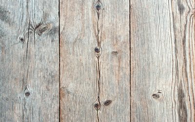 sfondo in legno grigio, struttura di assi di legno verticali, struttura in legno, sfondo in legno, sfondo di tavole