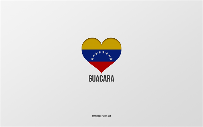 アイ ラブ グアカラ, ベネズエラの都市, グアカラの日, 灰色の背景, グアカラ, ベネズエラ, ベネズエラの旗の心臓, ラブ グアカラ