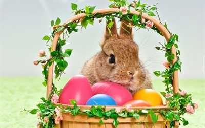 Basket with Easter eggs, rabbit, symbols of Easter, spring, holidays, Easter
