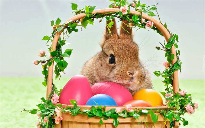 Cesta con huevos de Pascua, conejo, s&#237;mbolos de la Pascua, primavera, d&#237;as festivos, semana santa