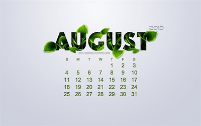 2019 August Calendar, creative floral art, white background, green leaves, spring, 2019 calendars, August, ecological concept, calendar for 2019 August