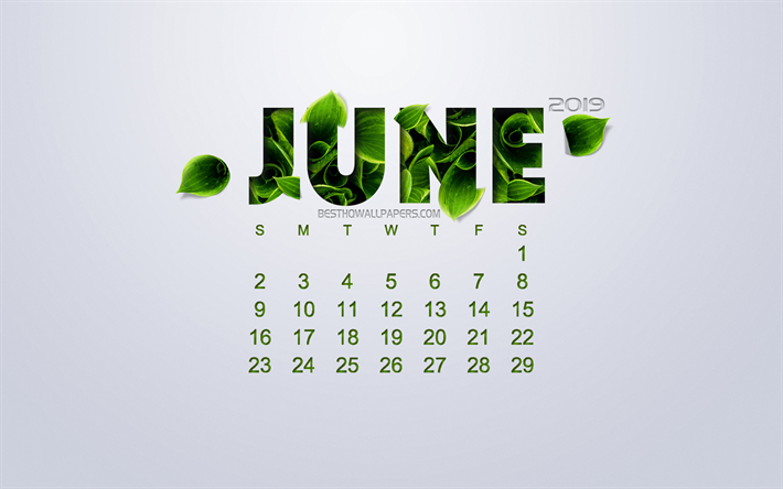 2019 junio de Calendario, creativo, arte floral, fondo blanco, hojas de color verde, la primavera, el 2019 calendarios de junio, el concepto medioambiental, el calendario para el a&#241;o 2019 junio