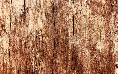 茶褐色の木製の質感, 4k, 近, 木の背景, マクロ, 木製の質感, 茶色の背景, 茶褐色の木