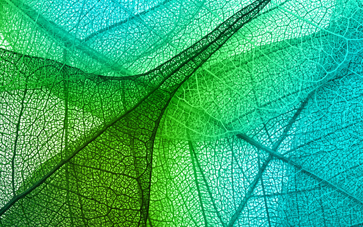 green 3d leaves texture, Creative 3D texture, sheet, blue green 3D art