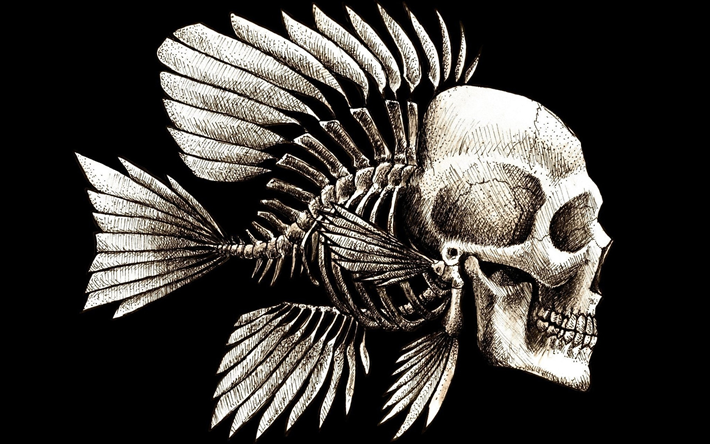 poisson squelette, cr&#233;atif, minimal, fond noir, squelette de poisson, squelette