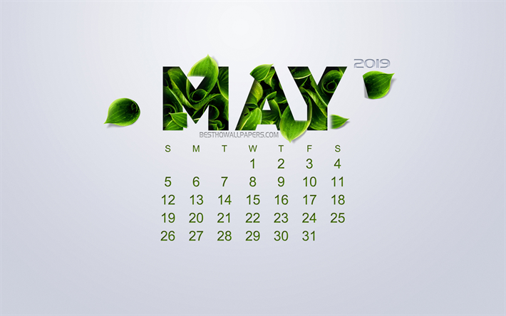 2019 Mai Calendrier, cr&#233;atrice de la fleur de l&#39;art, fond blanc, feuillage vert, printemps, 2019 calendriers, Peut, eco concept, calendrier Mai 2019