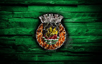 Rio Ave FC, yanan logo, Ilk Lig, yeşil ahşap arka plan, Portekiz Futbol Kul&#252;b&#252;, grunge, futbol, Rio Ave logo, Vila do Conde, Portekiz