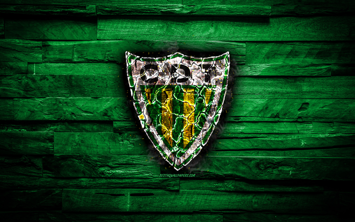 Tondela FC, yanan logo, Ilk Lig, yeşil ahşap arka plan, Portekiz Futbol Kul&#252;b&#252;, CD Tondela, grunge, futbol, logo, Tondela, Portugal