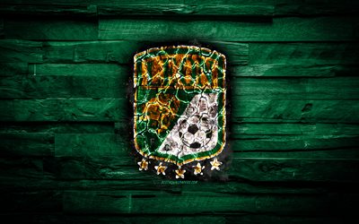 Leon FC, burning logo, Liga MX, green wooden background, Mexican football club, Primera Division, grunge, football, Club Leon, soccer, Leon logo, Leon, Mexiсo