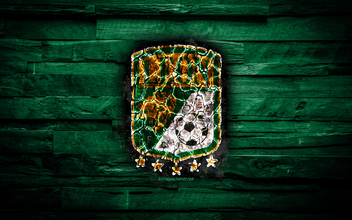 レオンFC, 燃焼ロゴ, リーガMX, 緑の木の背景, メキシコサッカークラブ, Primera部門, グランジ, サッカー, クラブレオン, レオンのロゴ, レオン, メキシコ