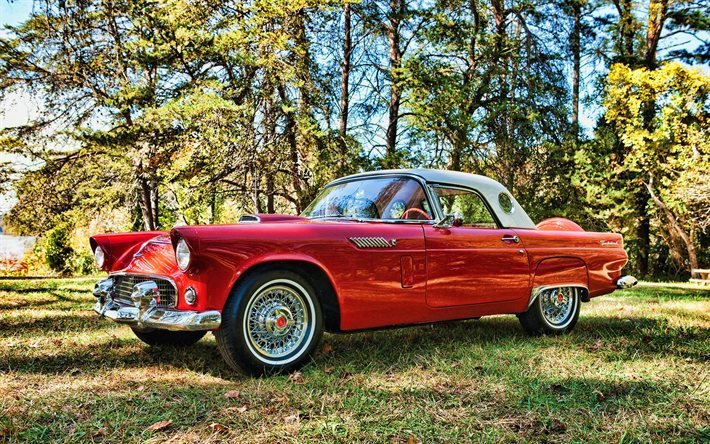 ford thunderbird, hdr, 1956 autos, retro-autos, amerikanische autos, 1956 ford thunderbird, ford