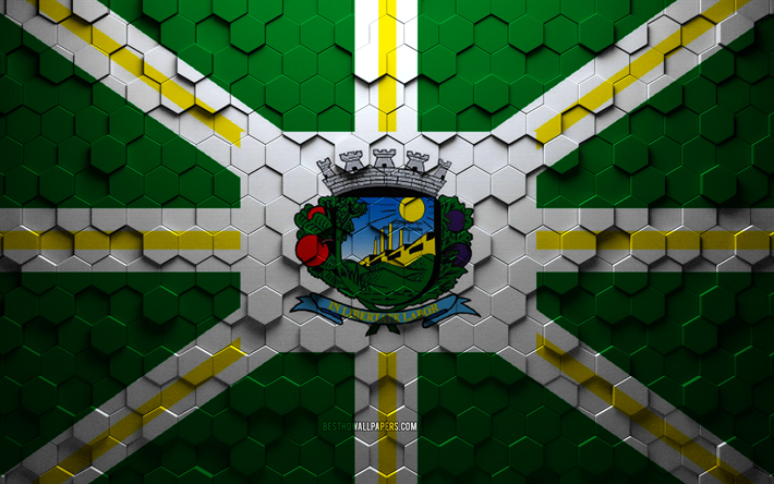 Flag of Valinhos, honeycomb art, Valinhos hexagons flag, Valinhos 3d hexagons art, Valinhos flag