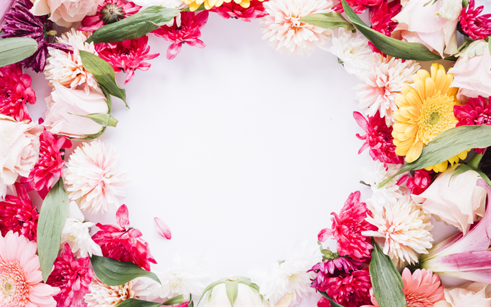 frame with peonies, flower frame, colorful peonies, frame of flower buds, peonies frame, spring flowers frame