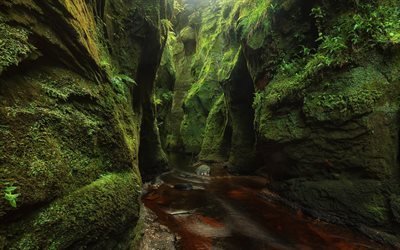 Scozia, rocce, muschio, creek