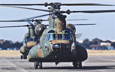 Boeing CH-47 Chinook, helic&#243;pteros de transporte, Ej&#233;rcito de los estados unidos, aviones de transporte, helic&#243;pteros militares, CH-47 Chinook, la Fuerza A&#233;rea de EEUU, Boeing